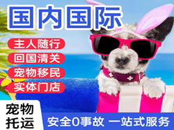 梅县空运代理国际宠物托运 【国